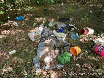 Landau / Steinweiler – Dreiste Müllentsorgung im Wald: Farbeimer, Matratze und Renovierungsabfälle illegal abgeladen