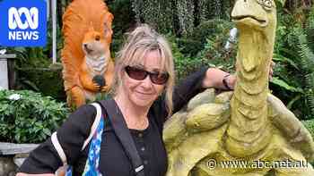Vietnam wants to grow dental tourism. It has Australian dentists worried