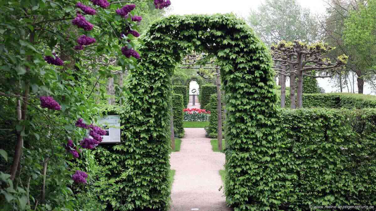Barocke Pracht im Kleinen: Sechs Ideen für den Französischen Garten zu Hause