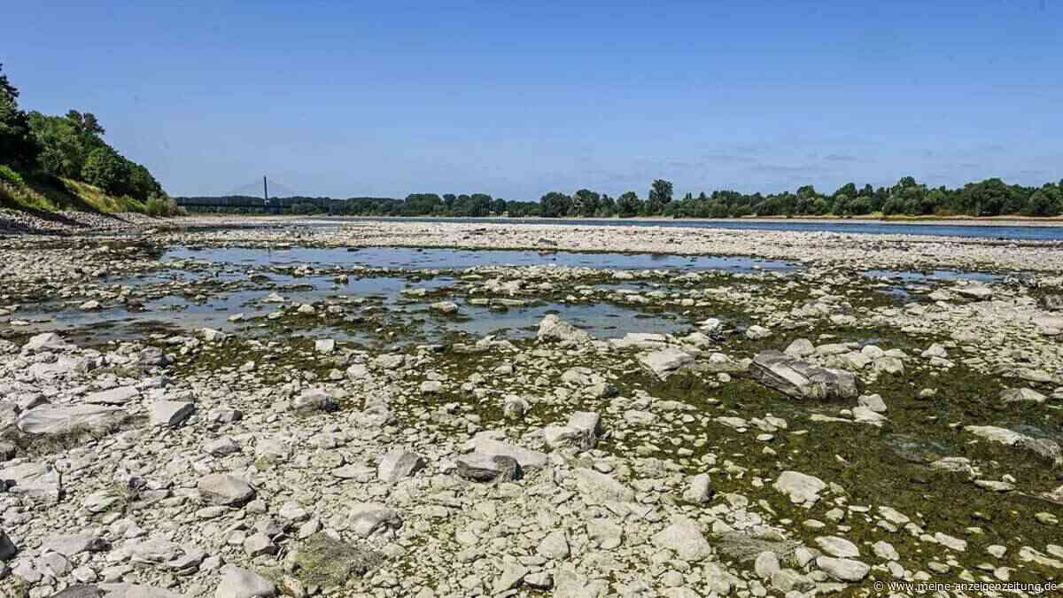 Trocknet Deutschland aus? Grundwasser nimmt deutlich ab