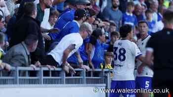 FA step in as Krystian Bielik fan incident sparks call for Cardiff City investigation