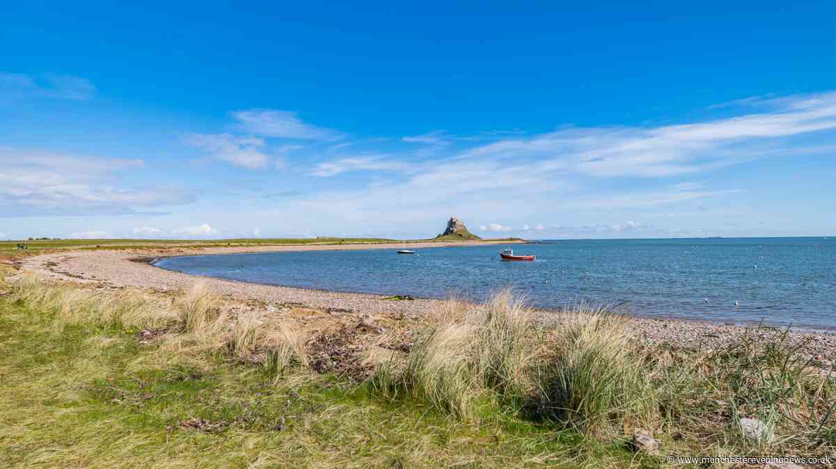 'Undisturbed' Northern island cottage guests are already rebooking for next year