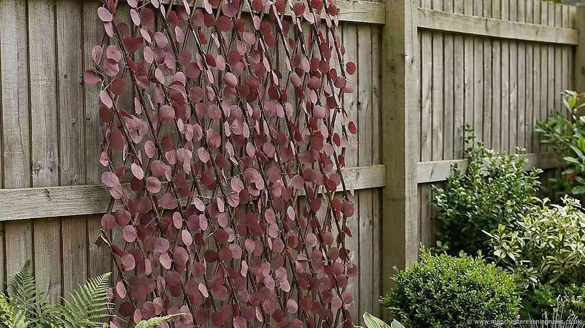 Gardeners hail £24 solution to 'improve garden privacy without blocking views'