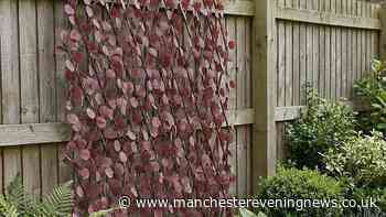 Gardeners hail £24 solution to 'improve garden privacy without blocking views'