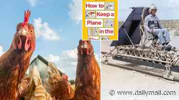 Dead chickens and human crash test dummies...the bizarre world of test engineering