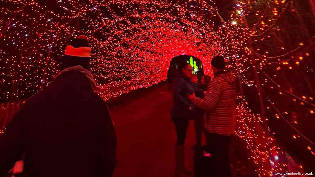 Yorkshire Wildlife Park announces new Polar Express Christmas experience