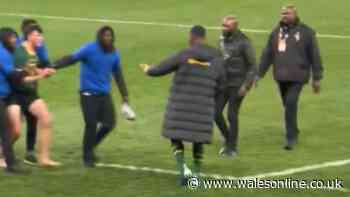 Siya Kolisi steps in to save pitch intruder as Springboks v All Blacks crowd in awe