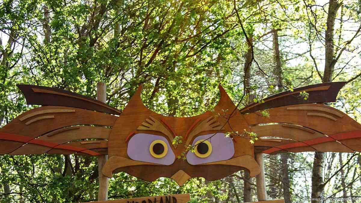 The free giant woodland playground just half an hour from Coventry that kids love