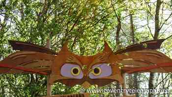 The free giant woodland playground just half an hour from Coventry that kids love