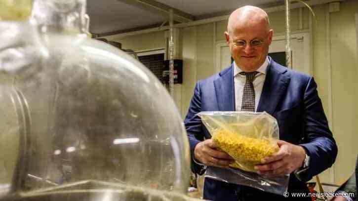 Narcoterreur nieuwe realiteit in Nederland: ’Als je het monster aanpakt, gaat het spartelen’