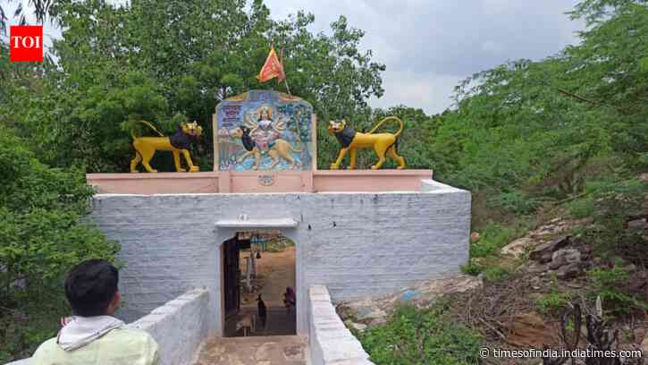 A 600-year-old temple in Rajasthan has a Muslim priest: The story of Bagoria Mataji Mandir