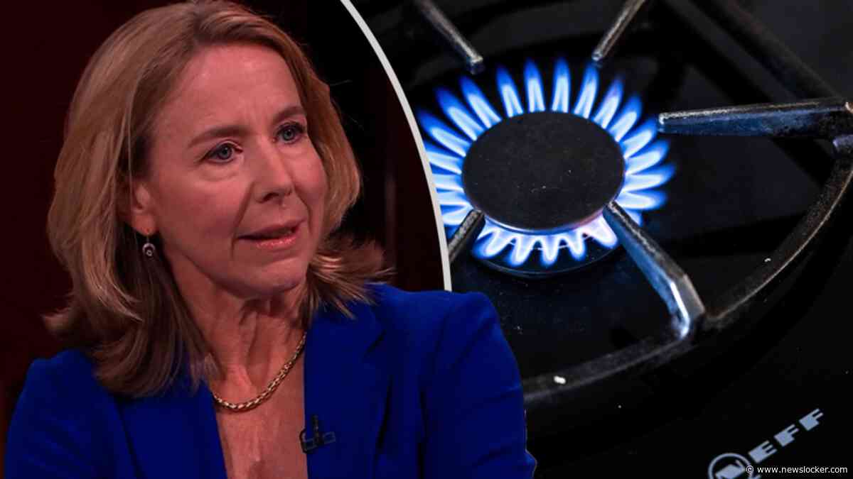 Met lagere gasvoorraad de winter in: ‘Daardoor zou de prijs juist omhoog gaan’