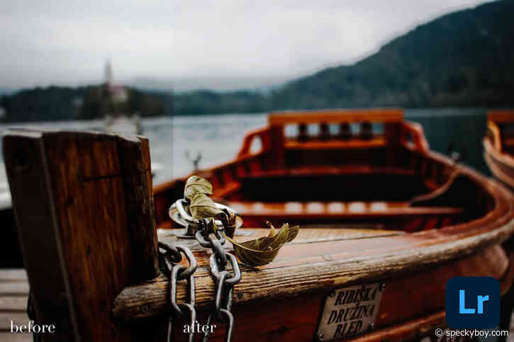 20+ Best Free Lightroom Mobile Presets for Photographers