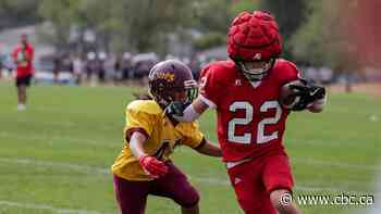 'More to life than football': Concussion experts advocate for Guardian Caps in youth games