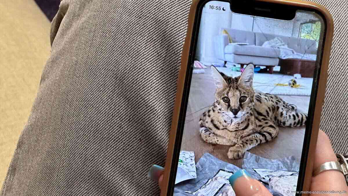 Tödliche Klicks: Soziale Medien befeuern illegalen Wildtierhandel
