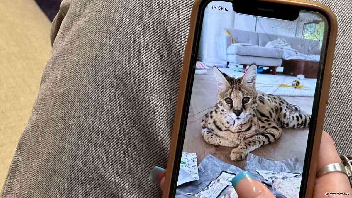 Tödliche Klicks: Soziale Medien befeuern illegalen Wildtierhandel