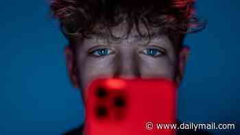 Warning over new disturbing TikTok trend -'symptom borrowing' could be fuelling rise in ADHD