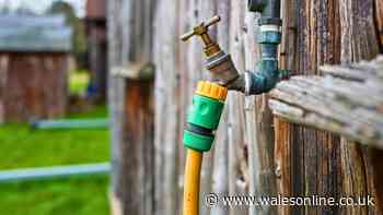 Gardeners asked to check outside taps for leaks before the end of September