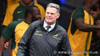 Rassie Erasmus issues public apology for behaviour as three All Blacks sent home