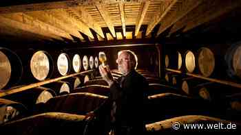 1400 Prozent Rendite mit Whisky – So verdienen Anleger am flüssigen Gold
