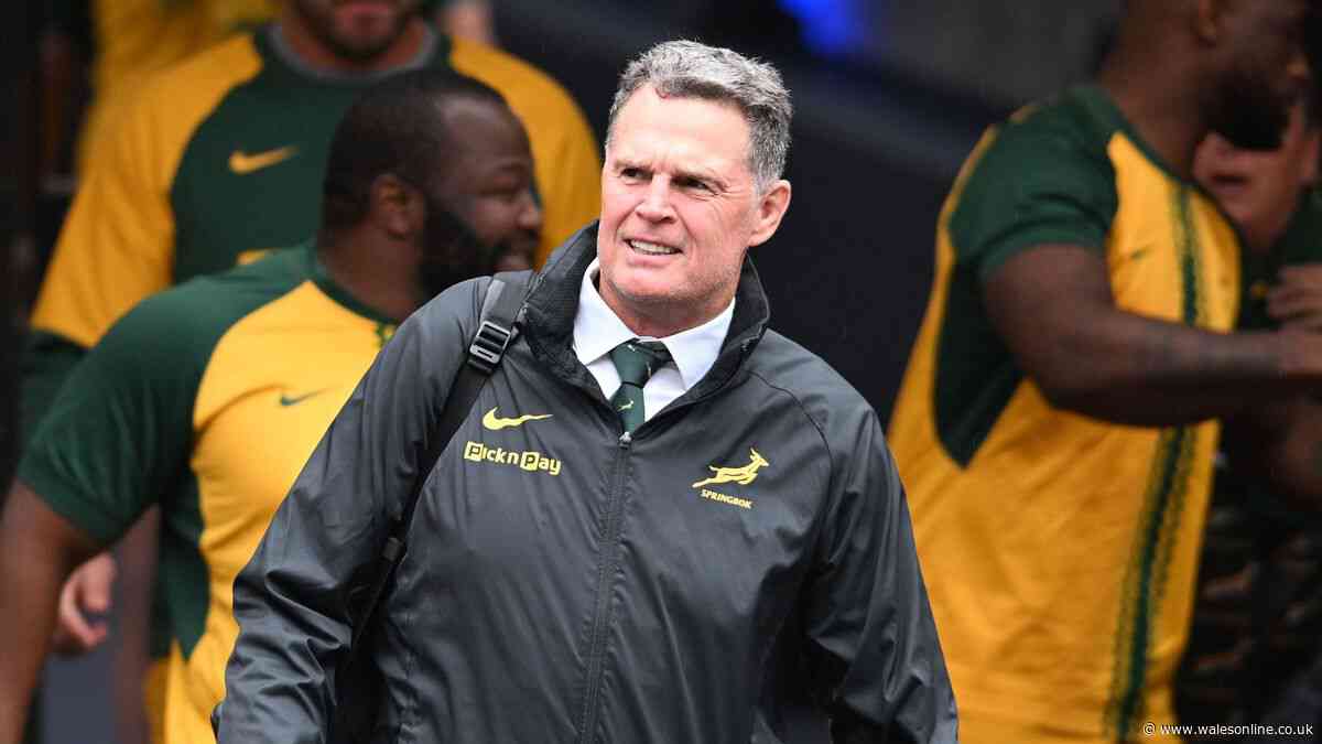 Rassie Erasmus issues public apology for behaviour as three All Blacks sent home