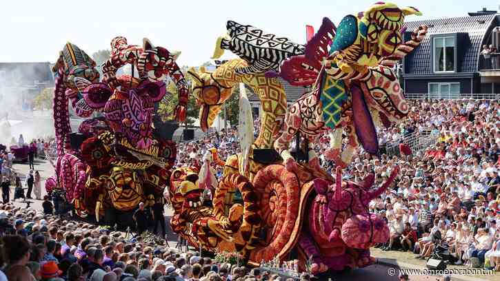 Kijk hier live naar het Bloemencorso in Zundert