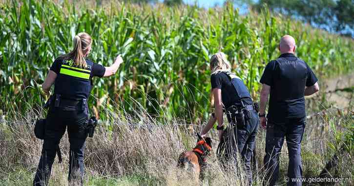 LIVE Overasselt | Niet een, maar twee vuurwapens gevonden zaterdag • Nieuwe aanhouding • Herdenking afgelast • Politie zoekt met honden