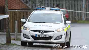 Boy, two, killed in horror hit-and-run near his Limerick home as he played on toy tractor
