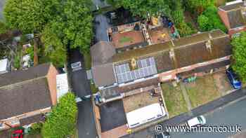 Council demands company boss bulldoze garden annexe in planning row over oak tree