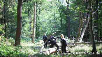 Strom-Sabotage: Polizei sucht im Hambacher Forst nach Täter