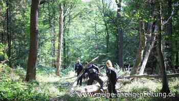Strom-Sabotage: Polizei sucht im Hambacher Forst nach Täter