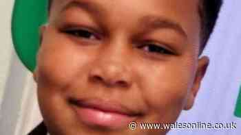 Search for missing 11-year-old boy as police launch appeal