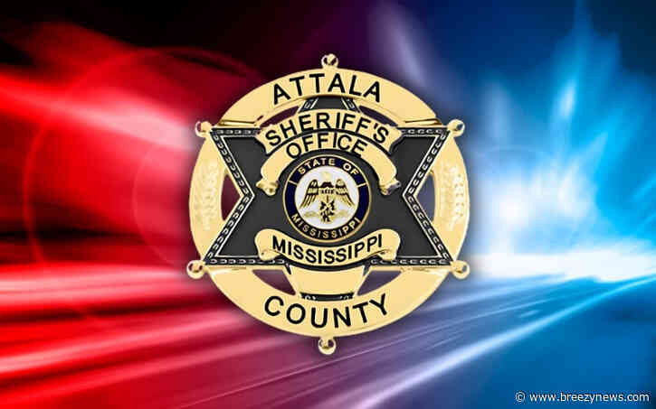 Deputy Chases, Arrests Person on Hwy. 19