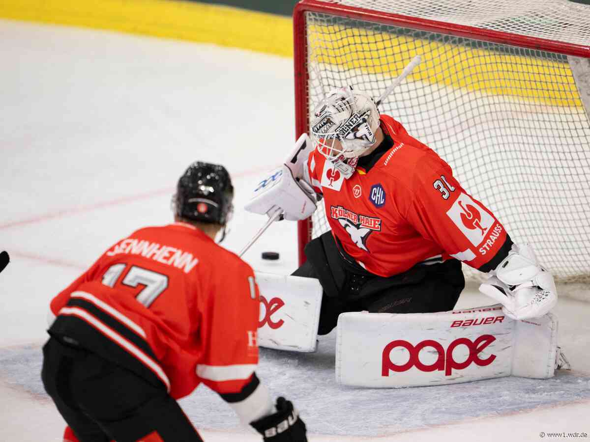 Champions Hockey League: Kölner Haie schlagen Tampere