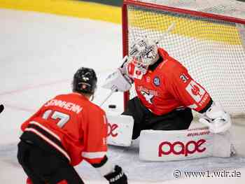 Champions Hockey League: Kölner Haie schlagen Tampere