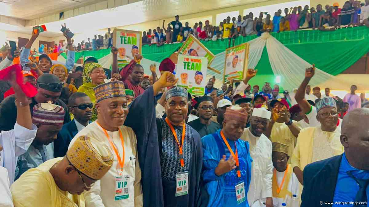 Former IGP Adamu emerges SDP candidate in Nasarawa