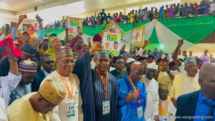 Former IGP Adamu emerges SDP candidate in Nasarawa