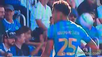 Police launch investigation into Cardiff City's ex-Arsenal star 'grabbing young fan by the throat' - as Portsmouth call incident a 'safeguarding matter'