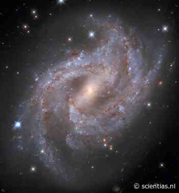 Sterexplosie in NGC 2525: hoe een witte dwerg ontplofte