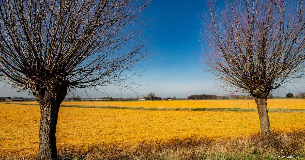 Van ‘paniekvoetbal’ tot ‘absurd’: meningen verdeeld over pesticidenmaatregelen in Overijssel