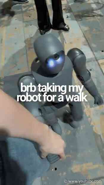 Walking humanoids at IFA 2026