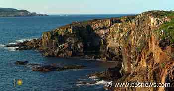 Nature: Newfoundland