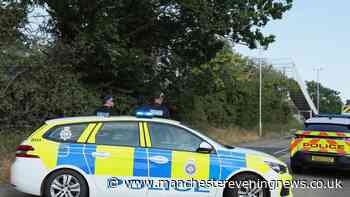 Four stabbed at Essex hotel as police swoop on suspects
