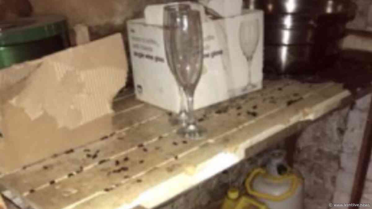 'Rat nests' found at 'filthy' Kent restaurant but owner says hygiene has now improved