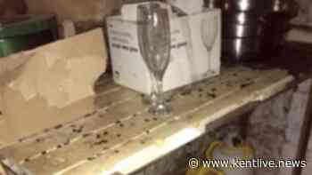 'Rat nests' found at 'filthy' Kent restaurant but owner says hygiene has now improved