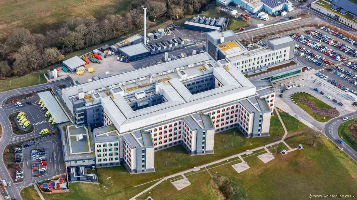 Call for urgent action at Welsh hospital after three-day-old baby dies