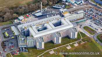 Call for urgent action at Welsh hospital after three-day-old baby dies