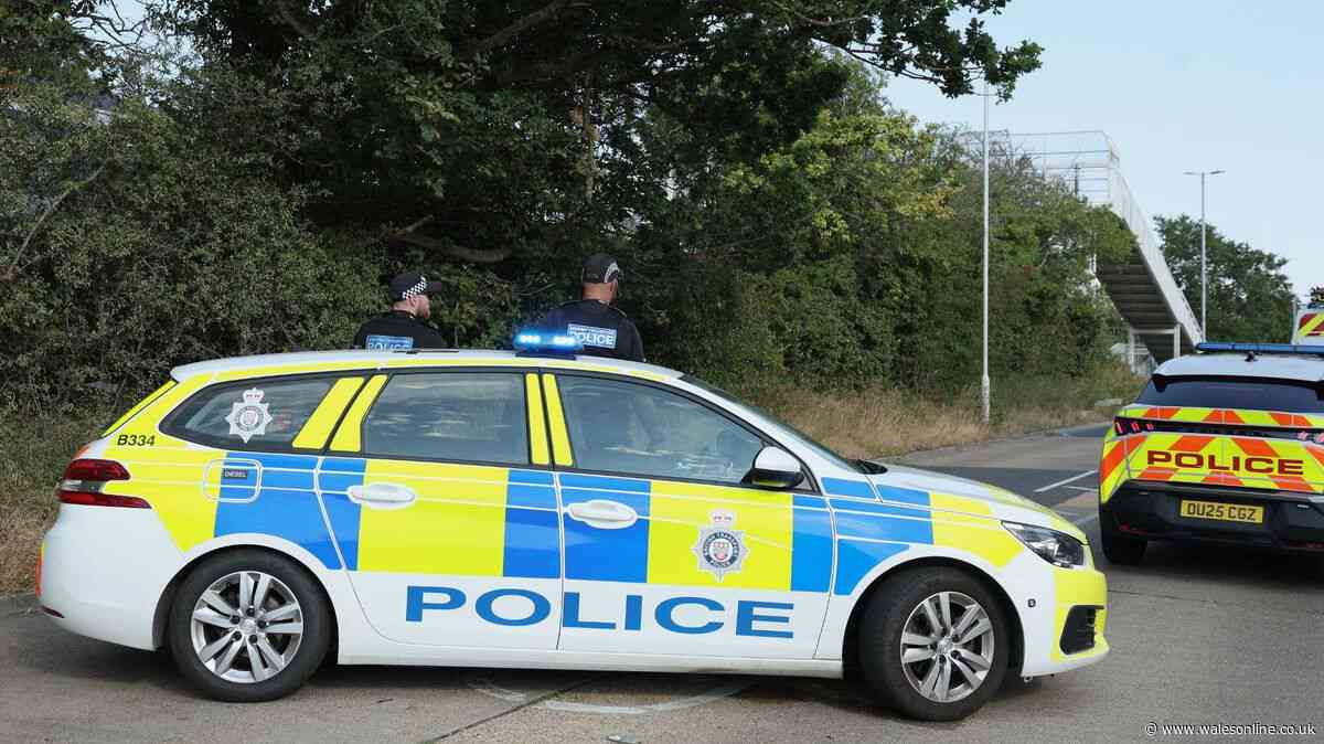 Arrests made after four injured in 'mass stabbing' at hotel event