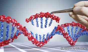 Scientists identify genetic markers linked to Big Five personality traits