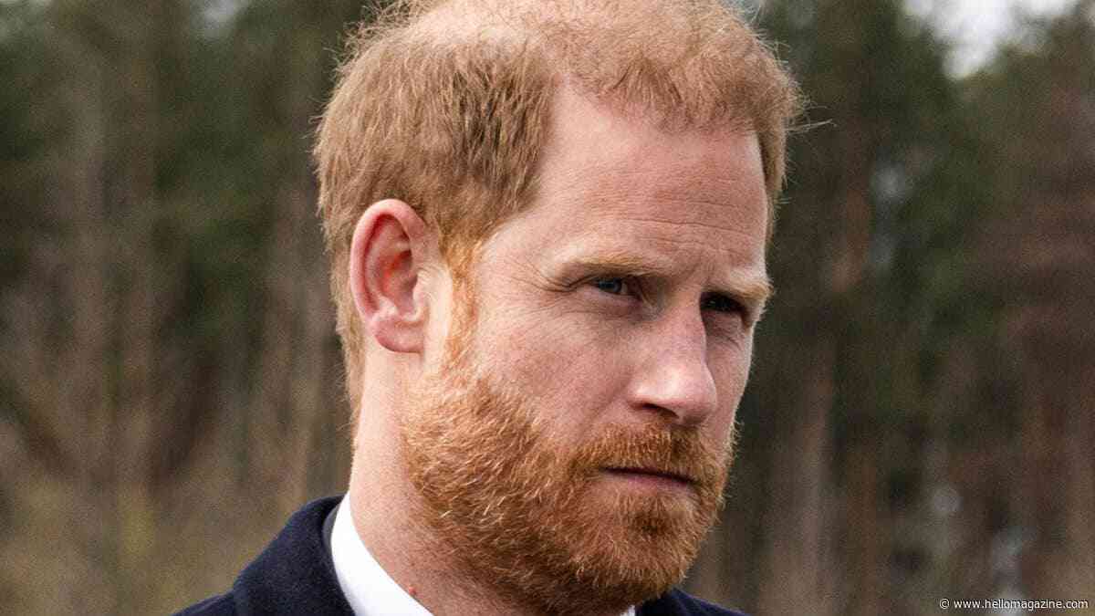 Prince Harry makes decision about public engagements: 'He will do whatever they want'